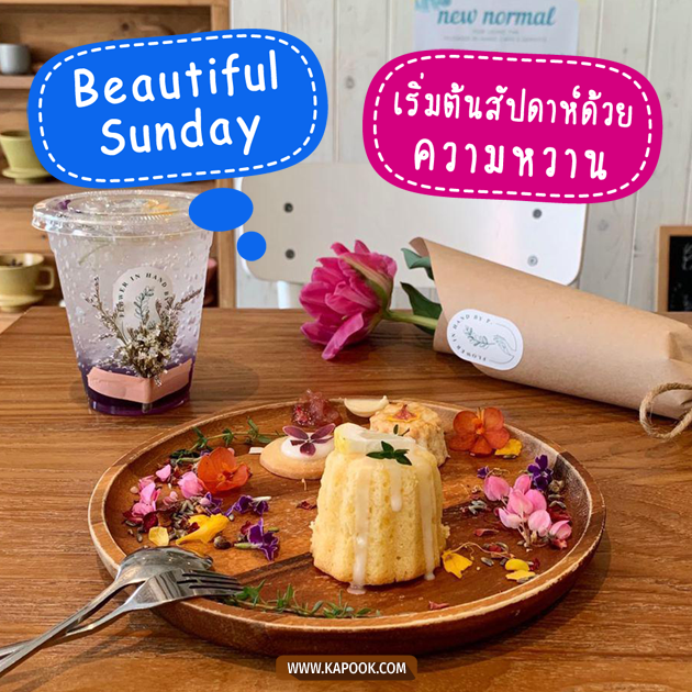 ดวงรายวัน ดวงรายวัน