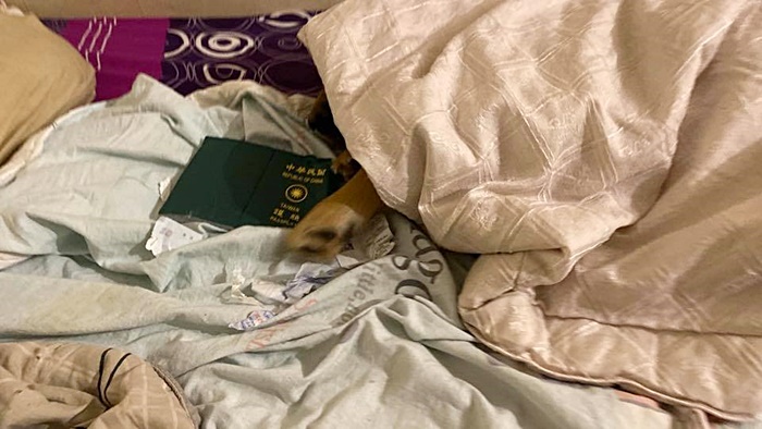 สุนัข สุนัข