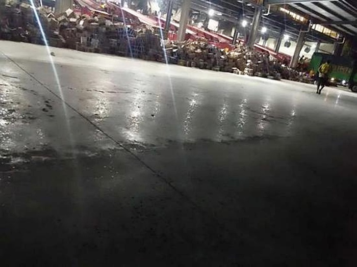 สัตว์เลี้ยง 5,000 ตัว ตายอนาถในกล่องไปรษณีย์ สัตว์เลี้ยง 5,000 ตัว ตายอนาถในกล่องไปรษณีย์