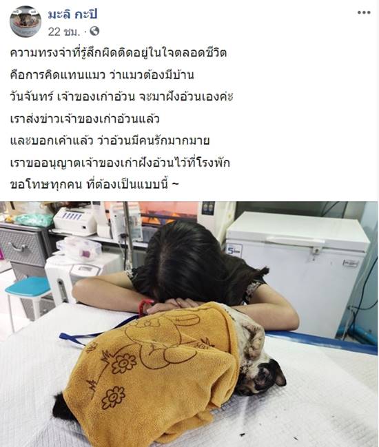 อ้วน แมวผู้ต้องหา อ้วน แมวผู้ต้องหา