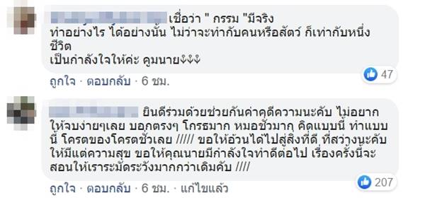 อ้วน แมวผู้ต้องหา อ้วน แมวผู้ต้องหา