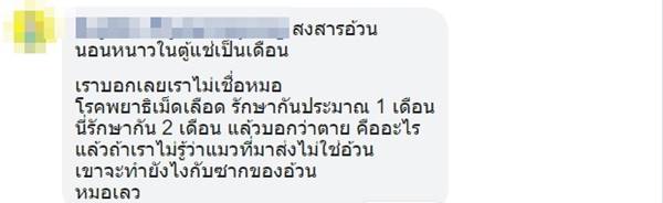 อ้วน แมวผู้ต้องหา อ้วน แมวผู้ต้องหา