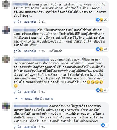 อ้วน แมวผู้ต้องหา อ้วน แมวผู้ต้องหา