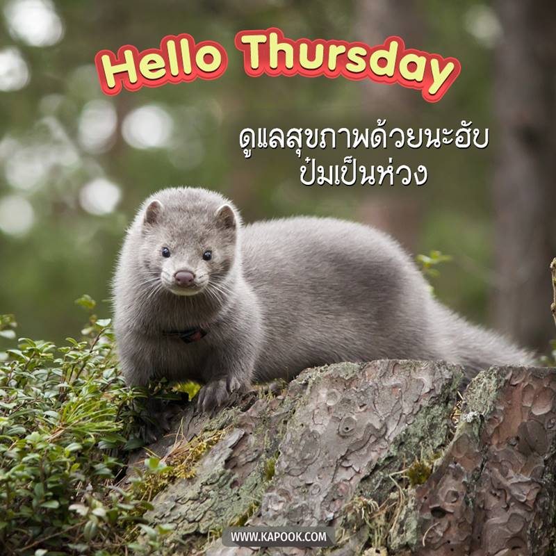 ดูดวงรายวัน วันที่ 30 กรกฎาคม 2563 ดูดวงรายวัน วันที่ 30 กรกฎาคม 2563