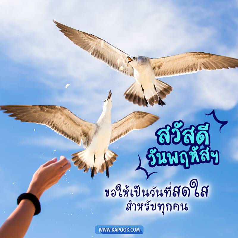 ดูดวงรายวัน วันที่ 21 พฤษภาคม 2563 ดูดวงรายวัน วันที่ 21 พฤษภาคม 2563