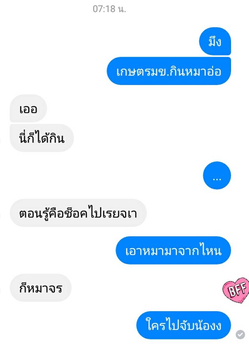 กินเนื้อหมา กินเนื้อหมา