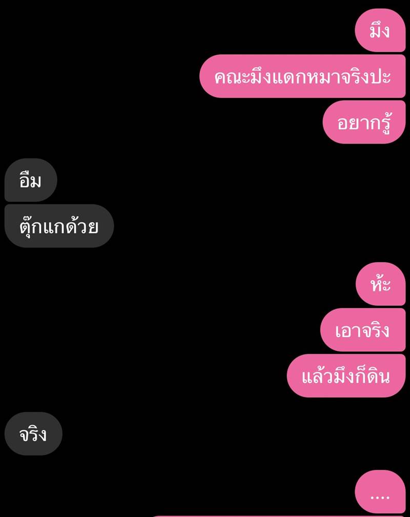 กินเนื้อหมา กินเนื้อหมา