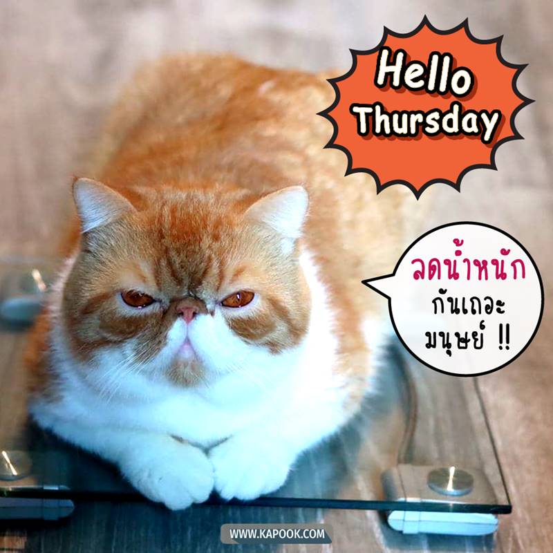 ดูดวงรายวัน วันที่ 26 พฤศจิกายน 2563 ดูดวงรายวัน วันที่ 26 พฤศจิกายน 2563