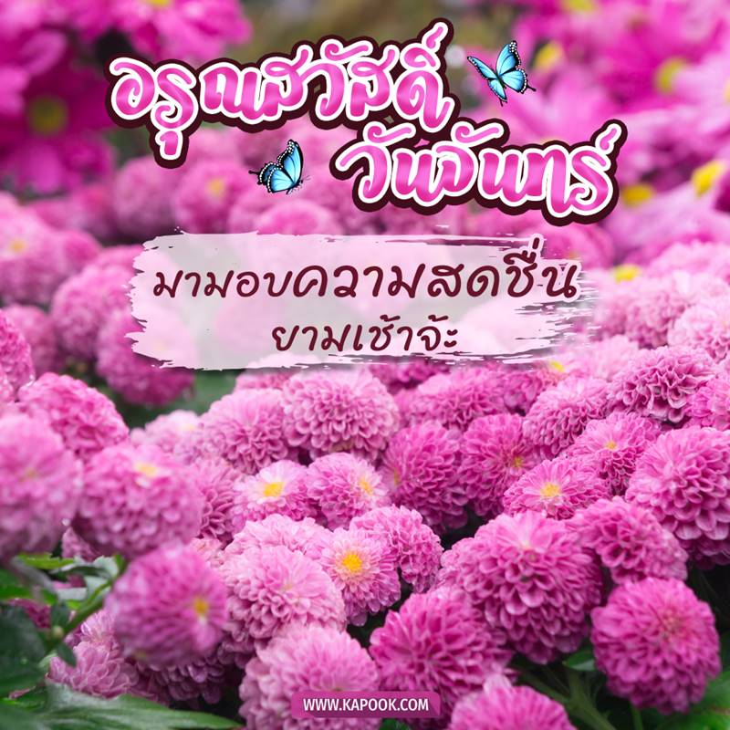 ดูดวงรายวัน วันที่ 7 กันยายน 2563 ดูดวงรายวัน วันที่ 7 กันยายน 2563