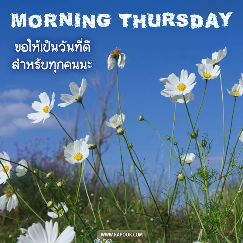 ดูดวงรายวัน วันที่ 10 กันยายน 2563 ดูดวงรายวัน วันที่ 10 กันยายน 2563
