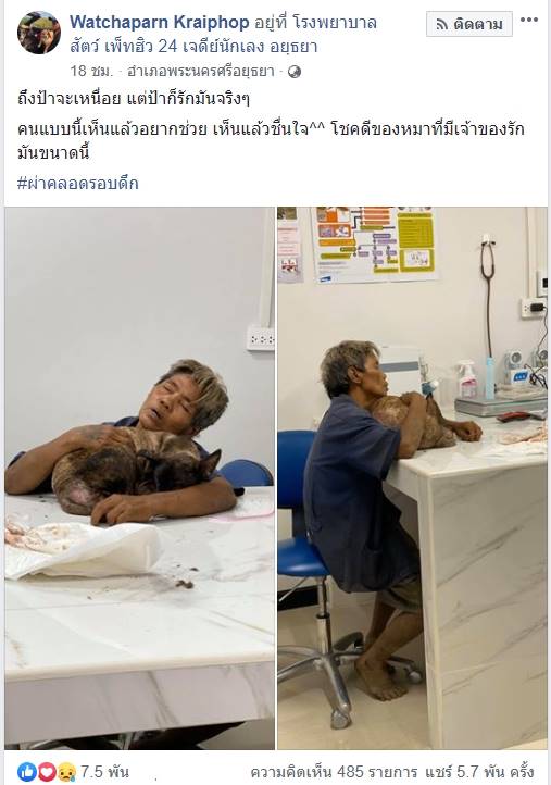 คนรักหมา คนรักหมา
