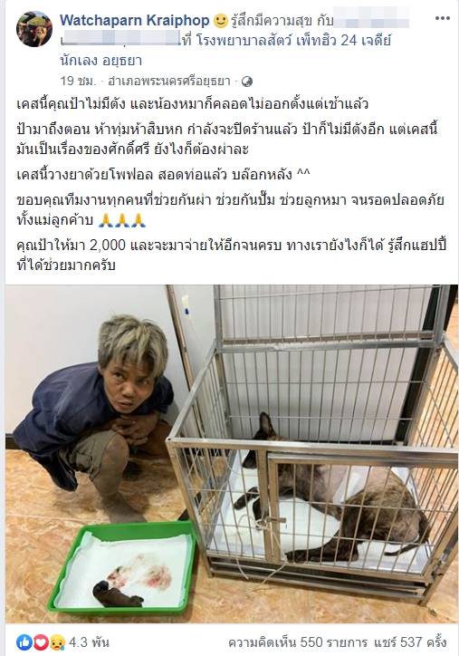 คนรักหมา คนรักหมา