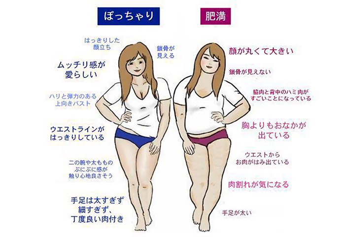 อวบหรืออ้วน อวบหรืออ้วน