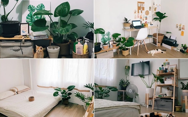 รีโนเวทบ้านพักครู รีโนเวทบ้านพักครู