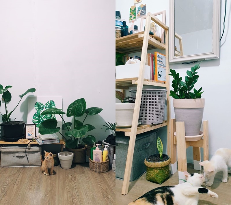รีโนเวทบ้านพักครู รีโนเวทบ้านพักครู