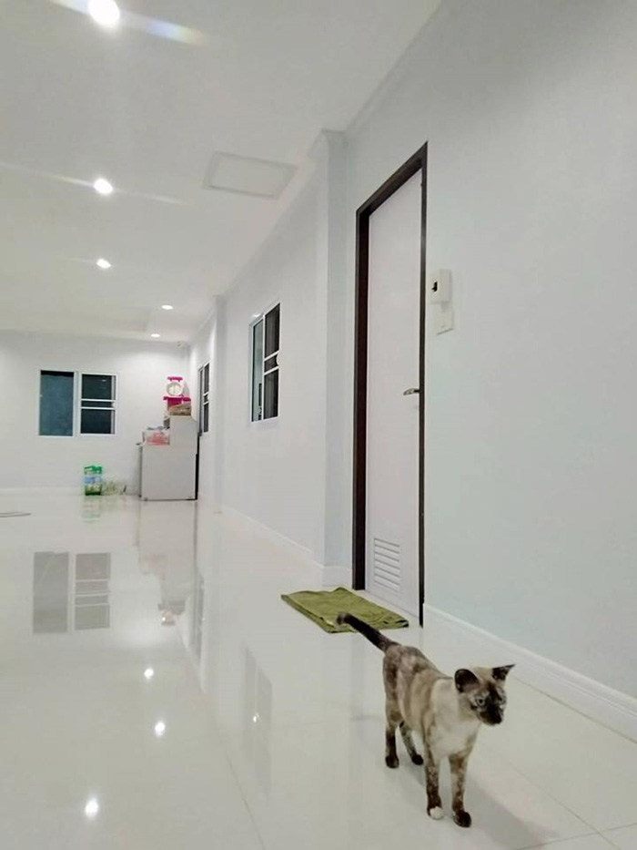 รีโนเวทบ้านไม้ 2 ชั้น รีโนเวทบ้านไม้ 2 ชั้น