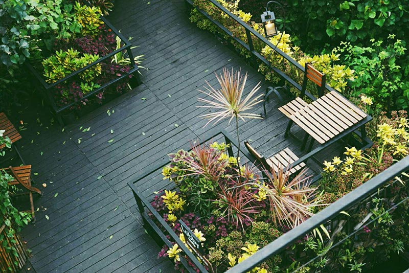บางกะเจ้า Bangkok Tree House