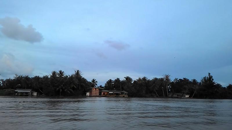 ที่่เที่ยวสุราษฎร์ธานี ล่องเรือชมหิ่งห้อยที่คลองร้อยสาย