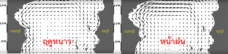 ทะเลบางแสน ทะเลบางแสน