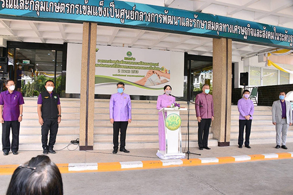 โควิด 19 โควิด 19