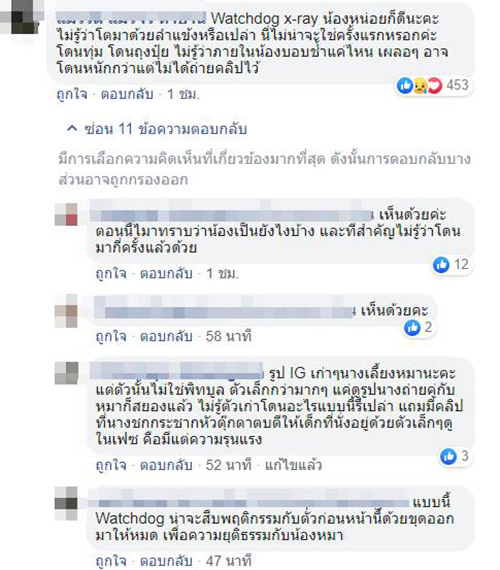 พิทบูล พิทบูล
