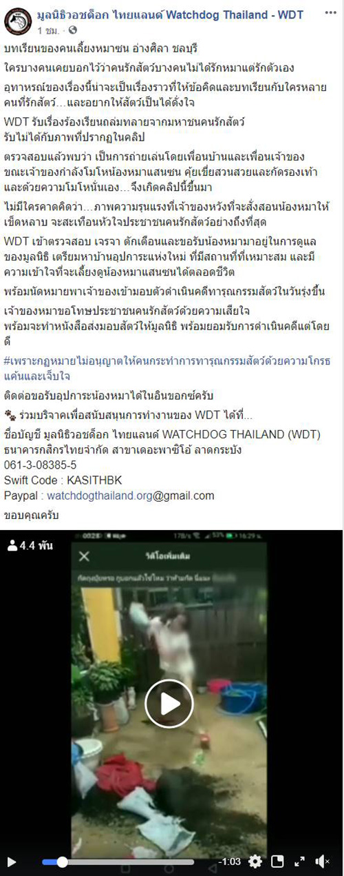 พิทบูล พิทบูล