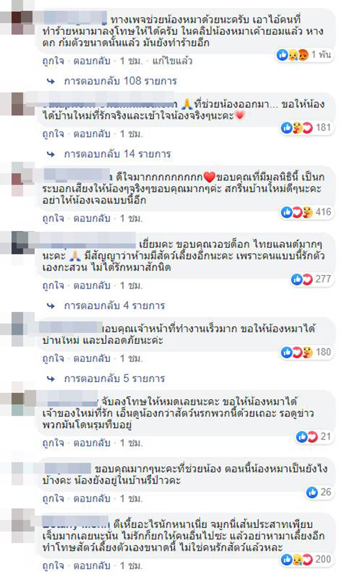 พิทบูล พิทบูล