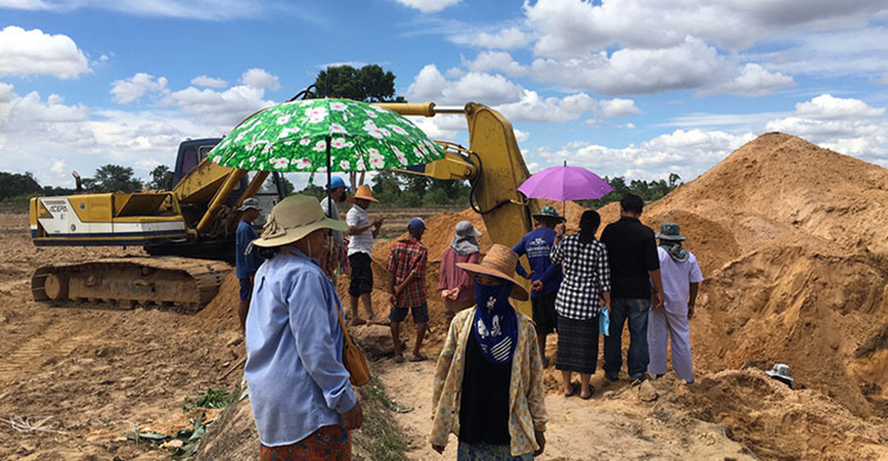 ภาพข่าวต้นตะเคียนยักษ์ ภาพข่าวต้นตะเคียนยักษ์
