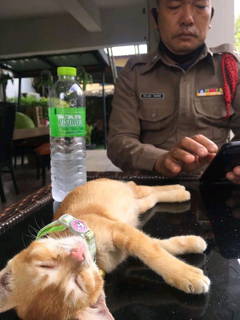น้องโกมิน น้องโกมิน