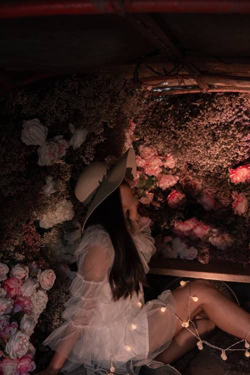 ภาพข่าว ดราม่ารักดอก ภาพข่าว ดราม่ารักดอก
