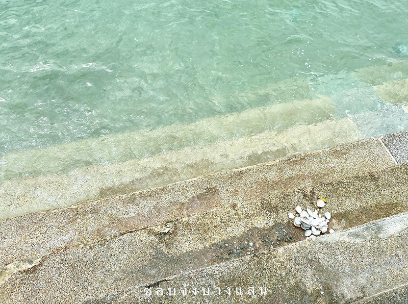 ทะเลบางแสน ทะเลบางแสน