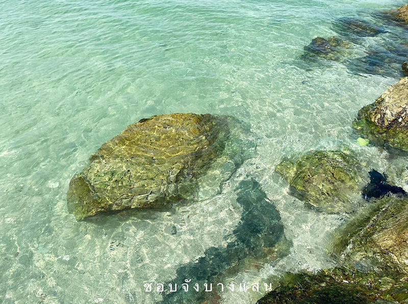 ทะเลบางแสน ทะเลบางแสน