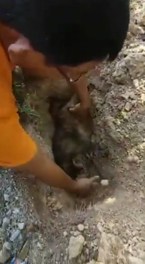 พ่อน้ำตาไหล พ่อน้ำตาไหล