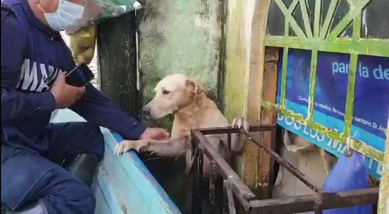 ตูบติดน้ำท่วม  ตูบติดน้ำท่วม