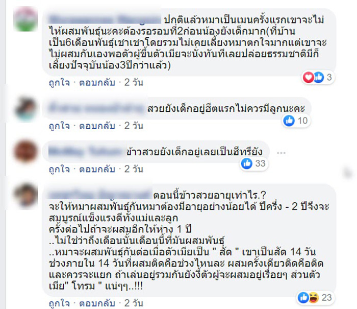 คอมเม้นท์ คอมเม้นท์