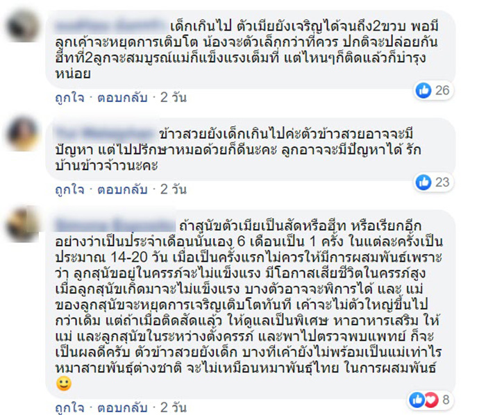 คอมเม้นท์ คอมเม้นท์