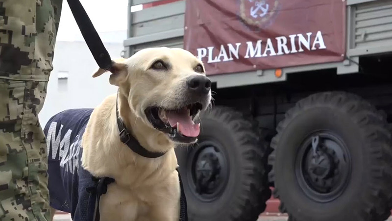 ตูบติดน้ำท่วม  ตูบติดน้ำท่วม