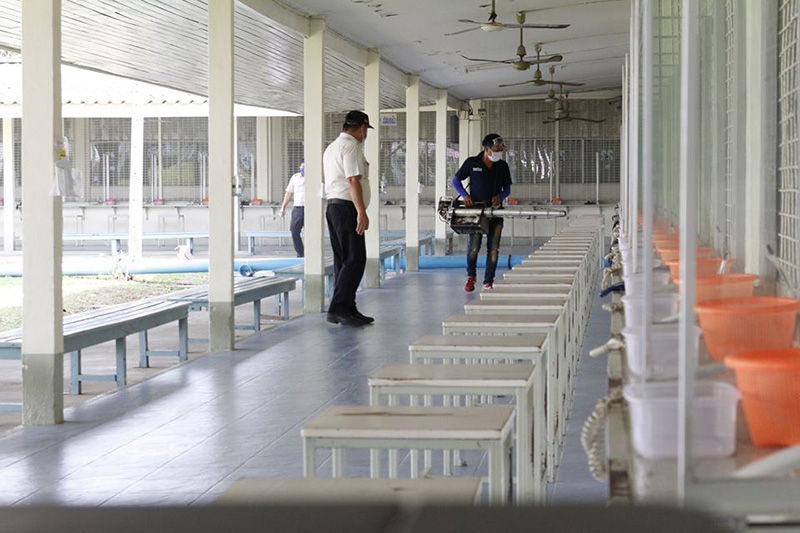 โควิด 19 โควิด 19