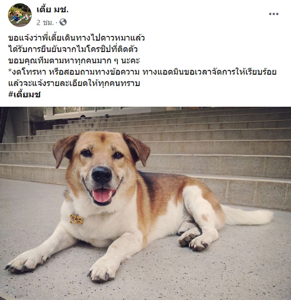 เตี้ย มช. เตี้ย มช.