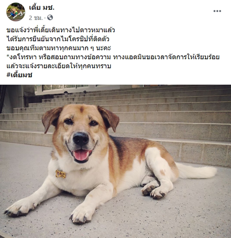 พี่เตี้ย มช. พี่เตี้ย มช.