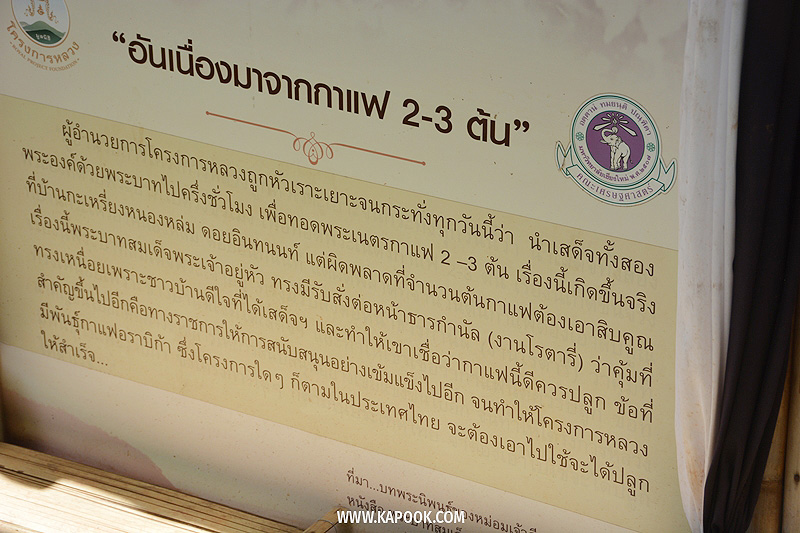 ต้นกาแฟ ในหลวง ร.9 ต้นกาแฟ ในหลวง ร.9