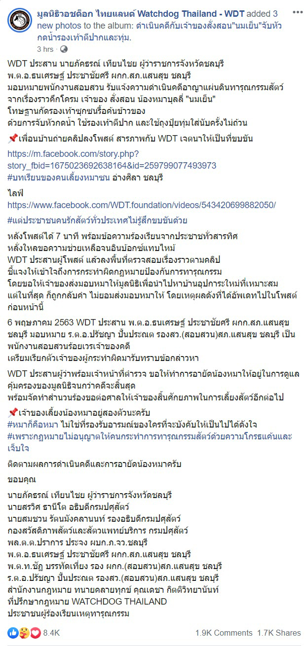 กะเทยตีหมา กะเทยตีหมา