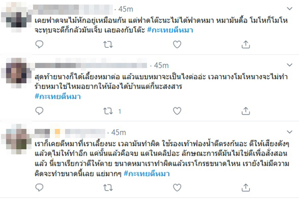 กะเทยตีหมา กะเทยตีหมา