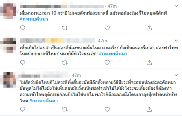กะเทยตีหมา กะเทยตีหมา