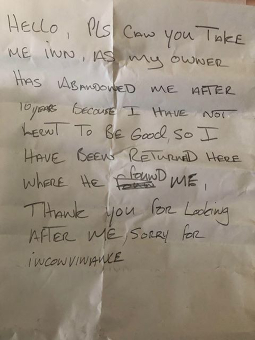 ทิ้งหมา ทิ้งหมา