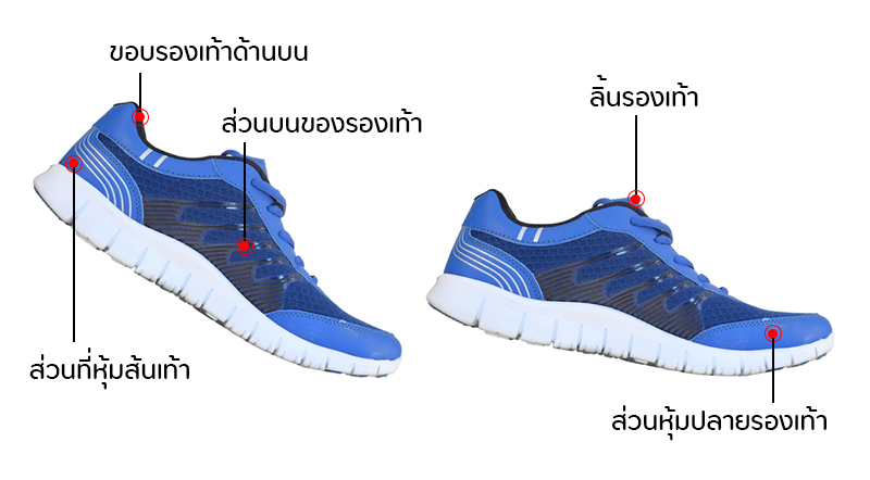 วิธีเลือกรองเท้าวิ่ง วิธีเลือกรองเท้าวิ่ง
