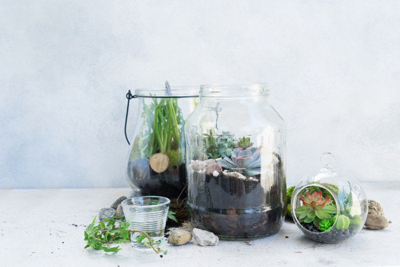 DIY ขวดโหลแก้ว DIY ขวดโหลแก้ว