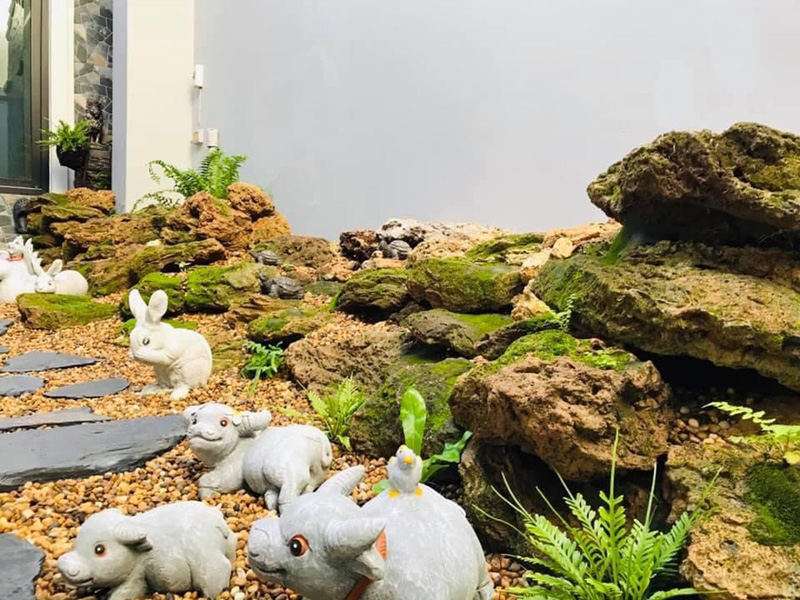 จัดสวนหินหน้าบ้าน จัดสวนหินหน้าบ้าน