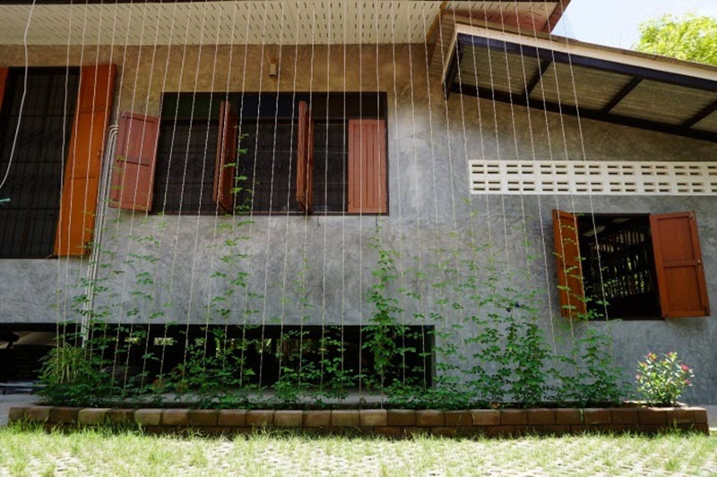 บ้านชั้นเดียวในสวน บ้านชั้นเดียวในสวน