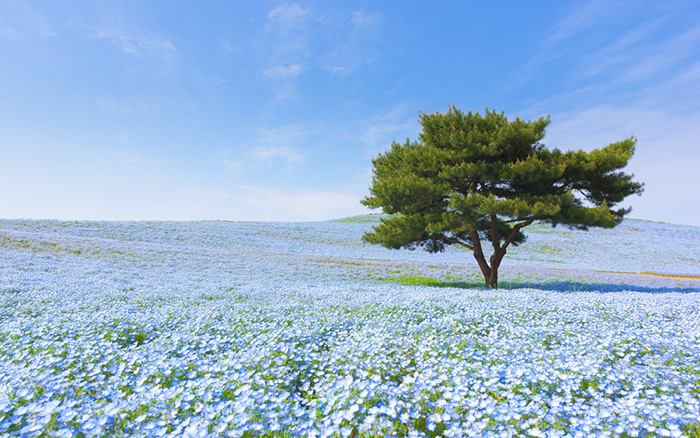 วิวสุดสวยจากทั่วโลก วิวสุดสวยจากทั่วโลก